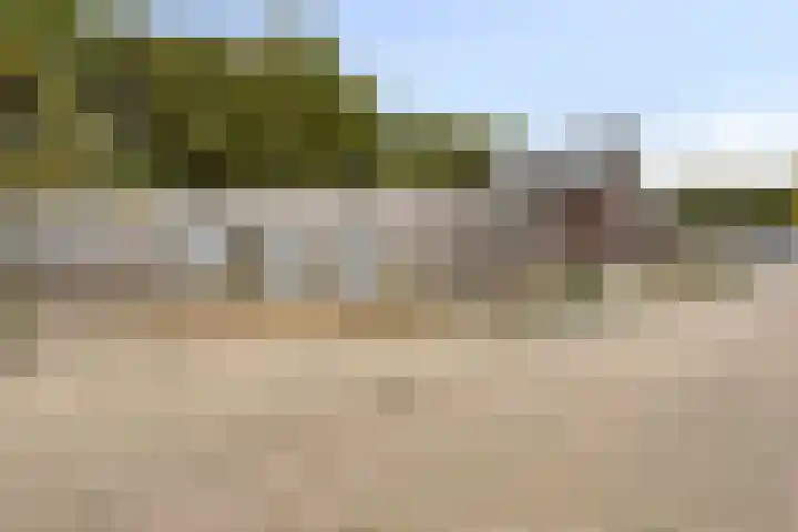 Gielenkamp 9 Wellerlooi thumbnail 30