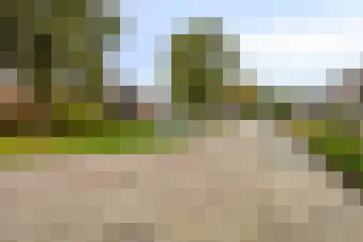 Gielenkamp 9 Wellerlooi thumbnail 31