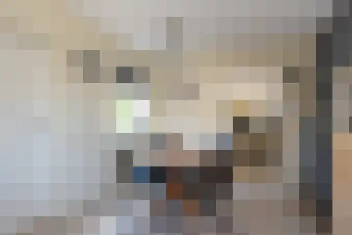 Gielinklaan 19 Dinxperlo thumbnail 16