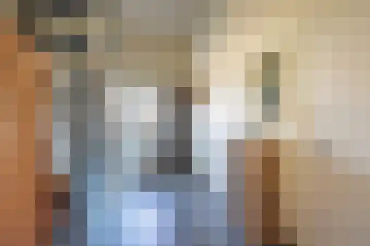 Gielinklaan 19 Dinxperlo thumbnail 19