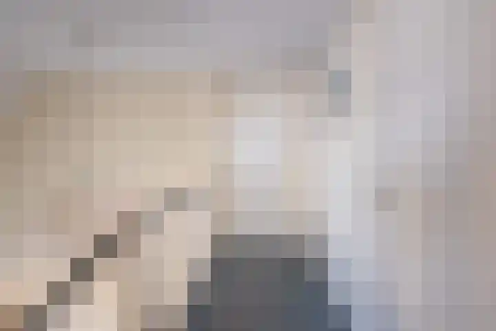 Gielinklaan 19 Dinxperlo thumbnail 27