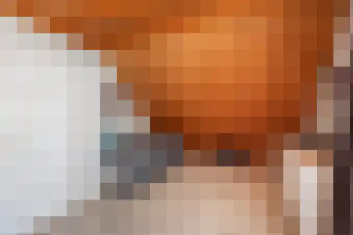 Gielinklaan 19 Dinxperlo thumbnail 30