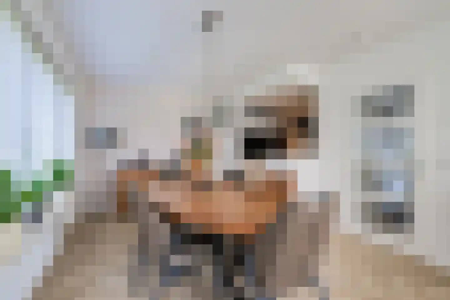 Gielinklaan 34 Dinxperlo thumbnail 21