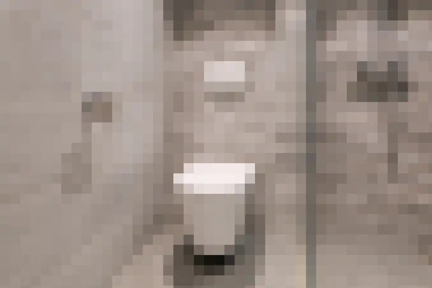 Gielinklaan 34 Dinxperlo thumbnail 31