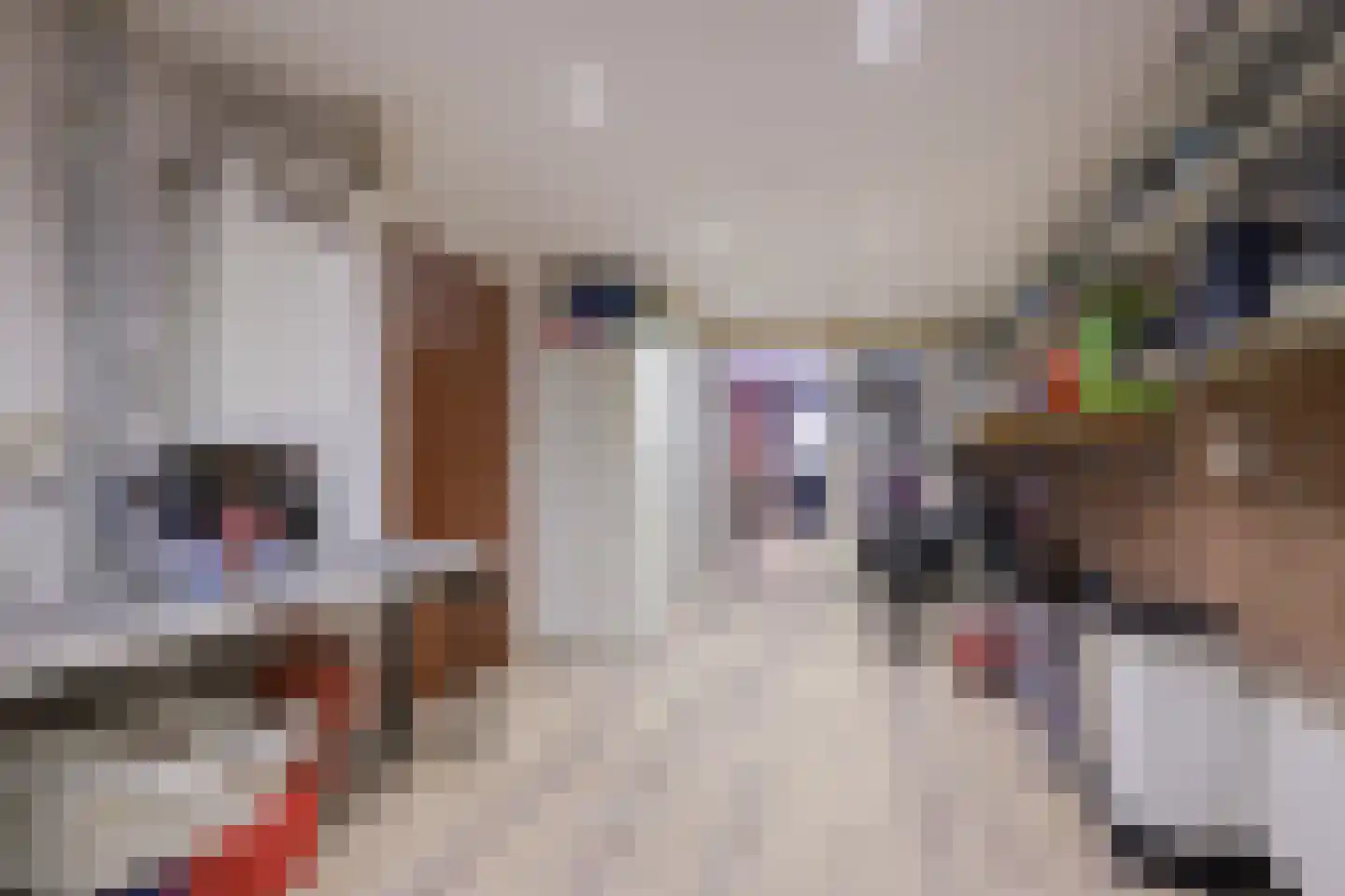 Gielinklaan 34 Dinxperlo thumbnail 33