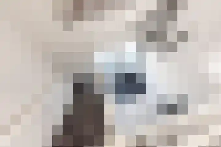 Gielinklaan 6 Dinxperlo thumbnail 26