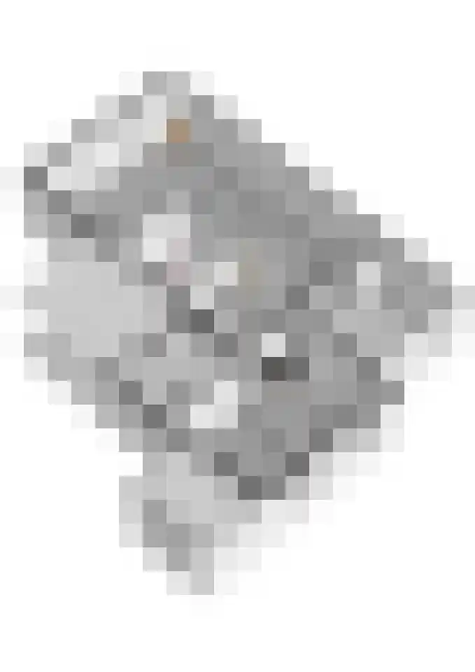 Gielinklaan 6 Dinxperlo thumbnail 56