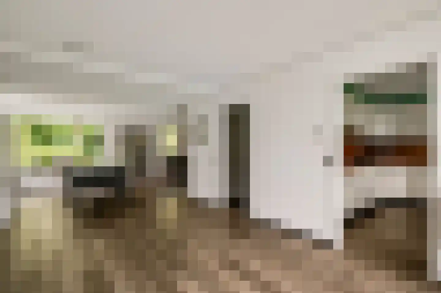 Gielkenserf 3 Baexem thumbnail 17