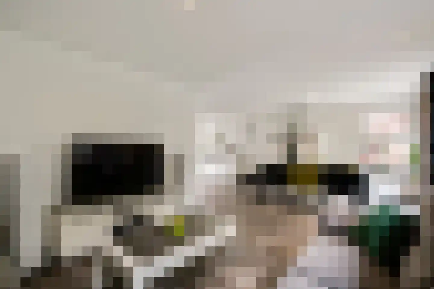 Gielkenserf 3 Baexem foto 2