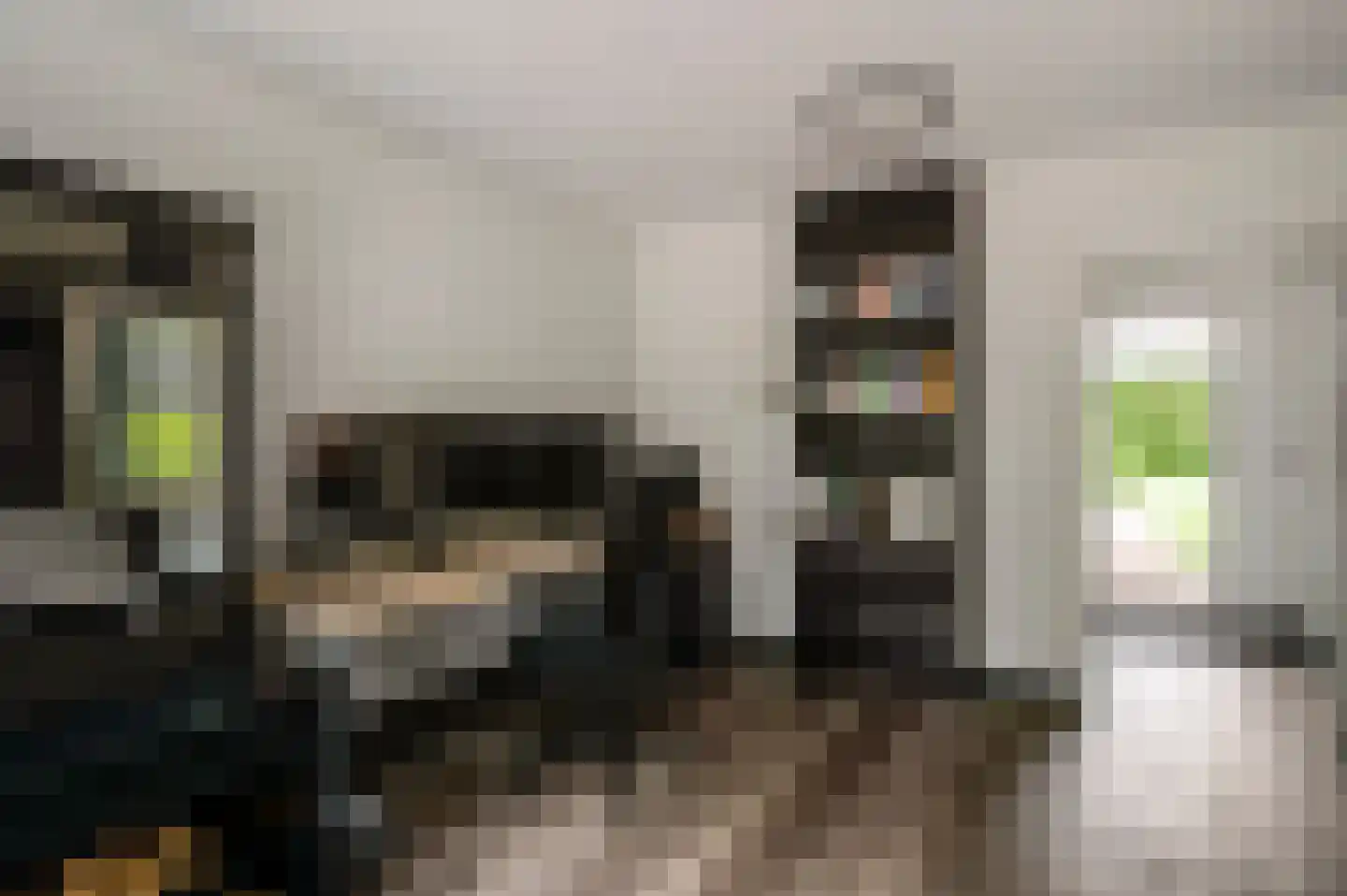 Gielkenserf 3 Baexem thumbnail 29