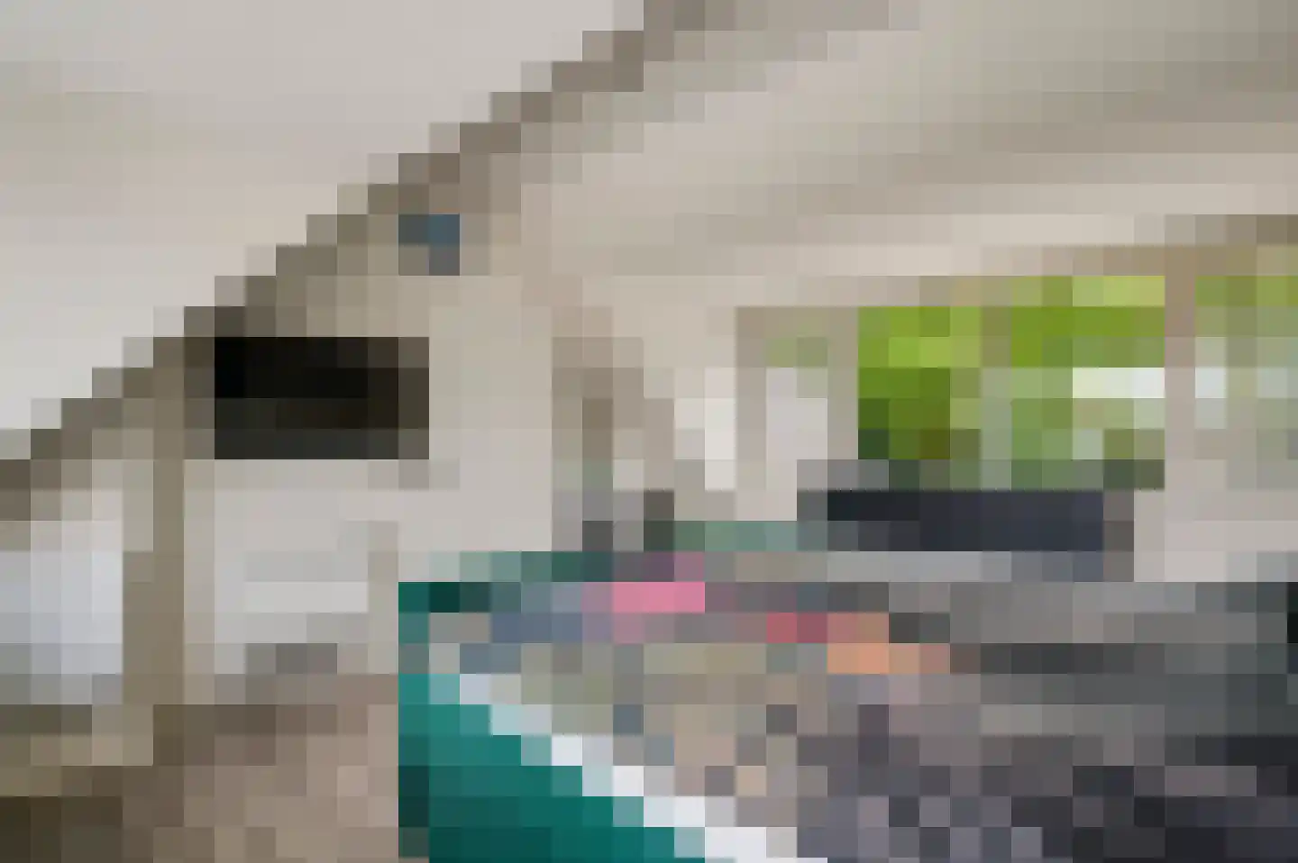 Gielkenserf 3 Baexem thumbnail 34