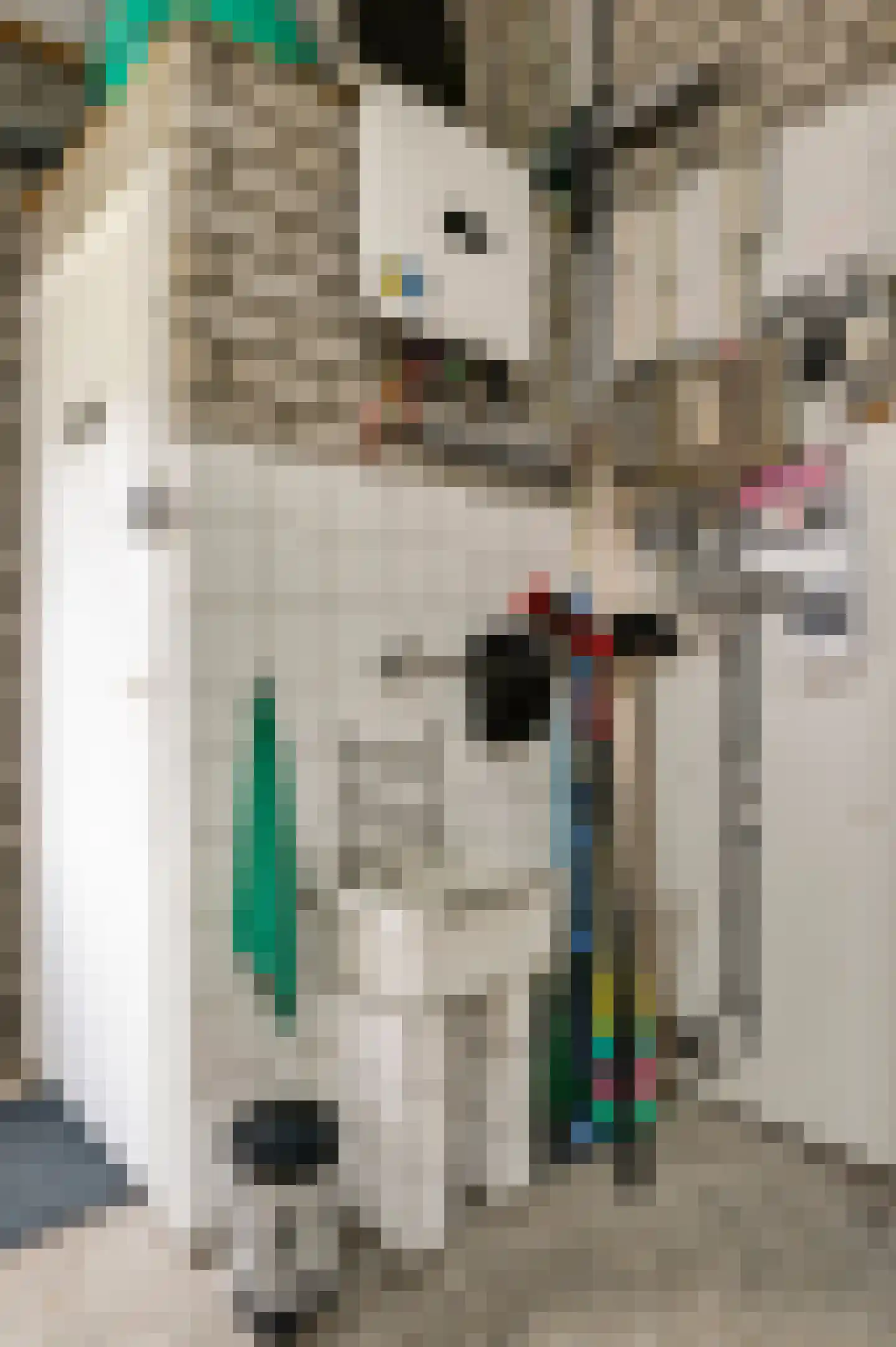 Gielkenserf 3 Baexem thumbnail 48