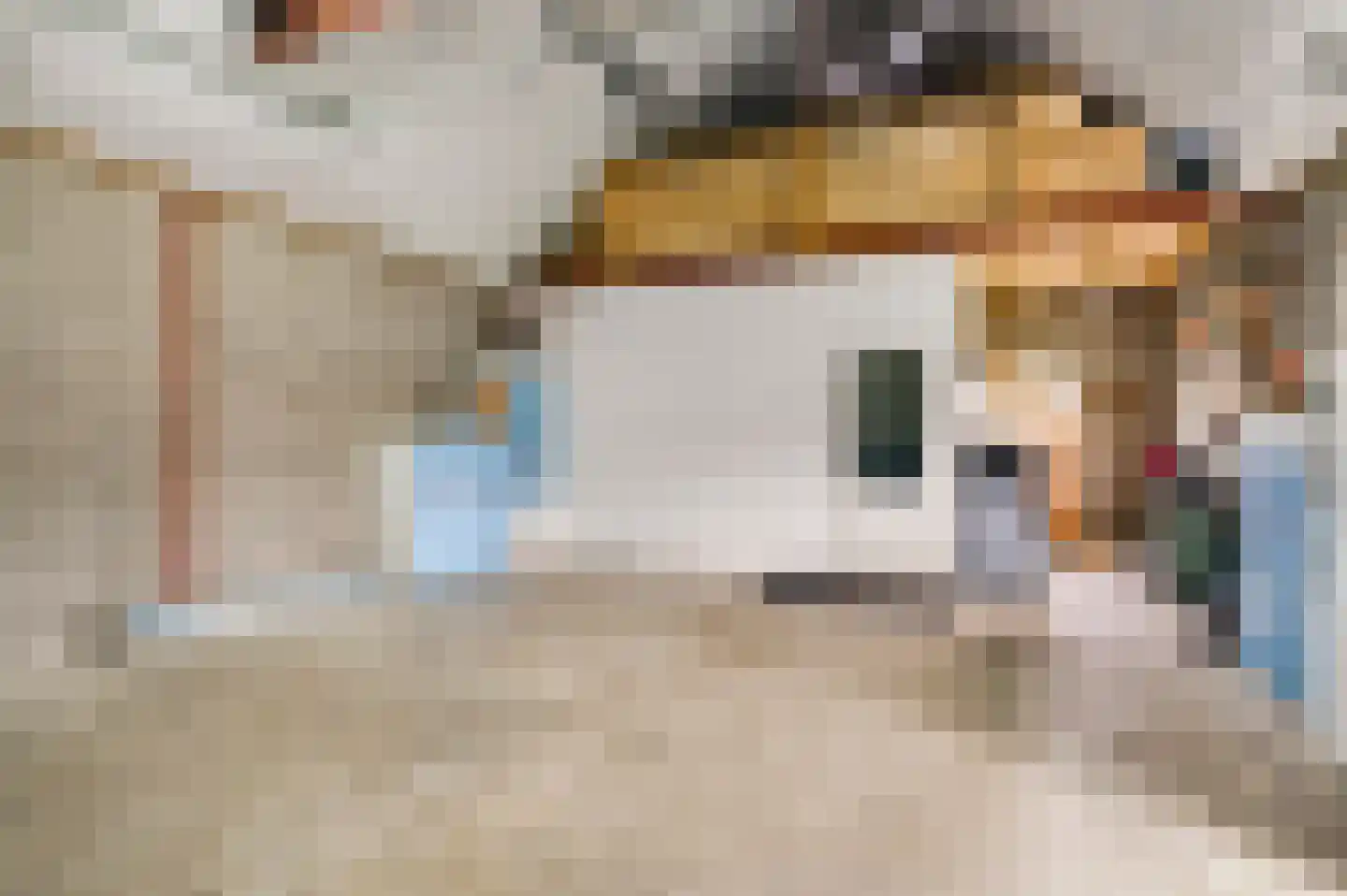Gielkenserf 3 Baexem thumbnail 49