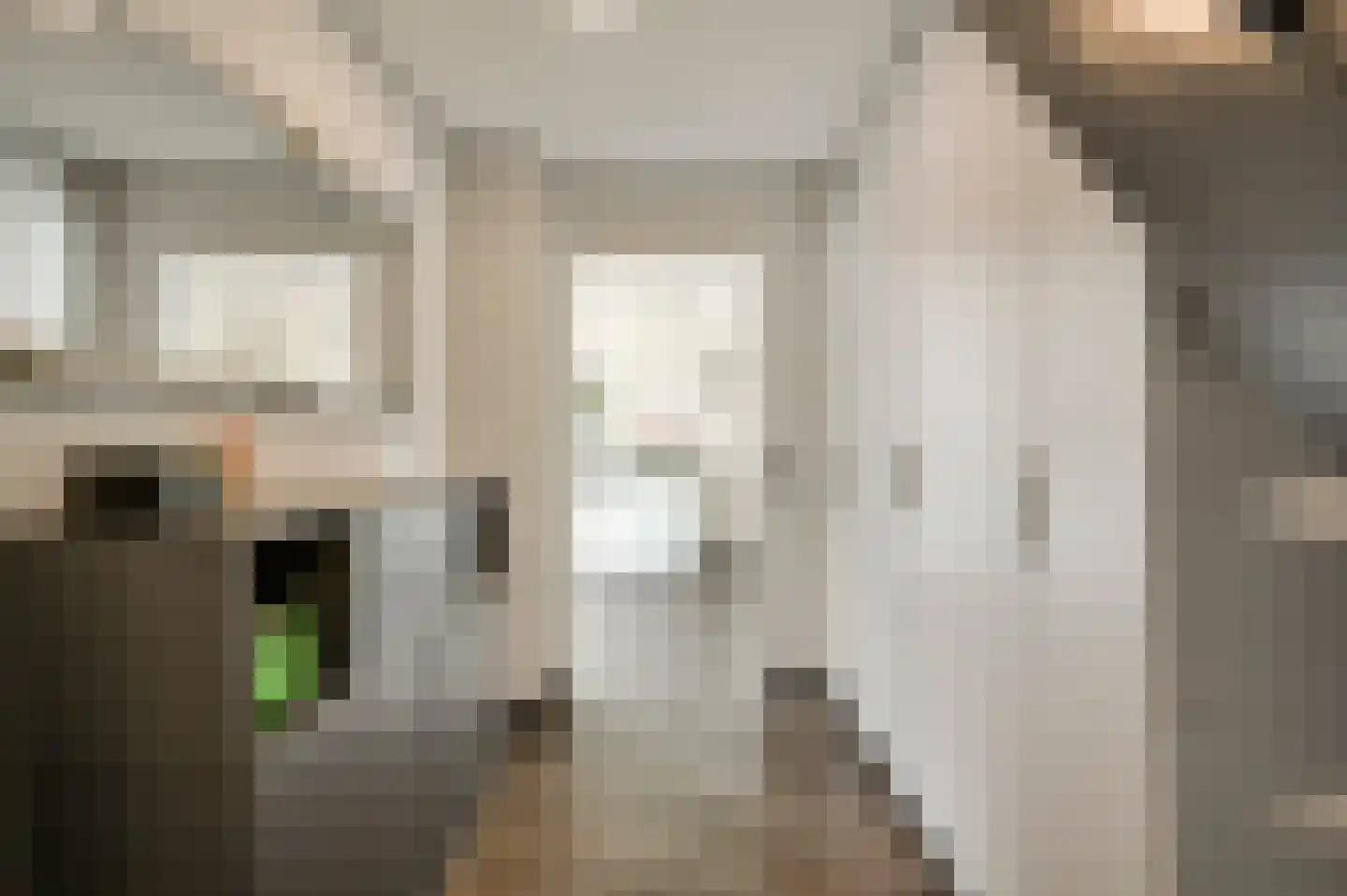 Gielkenserf 3 Baexem thumbnail 7