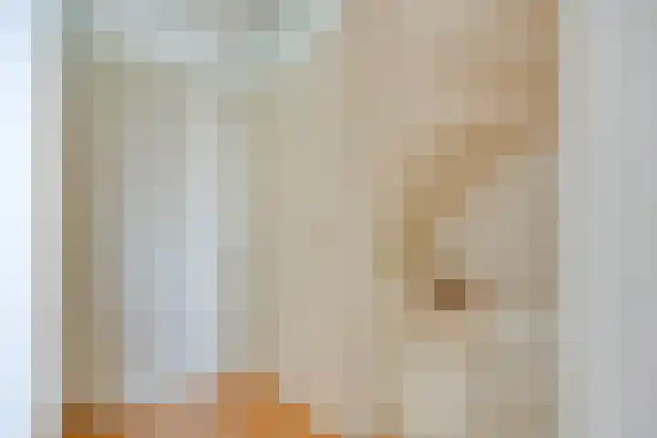 Gierelaar 124 Wouw thumbnail 13