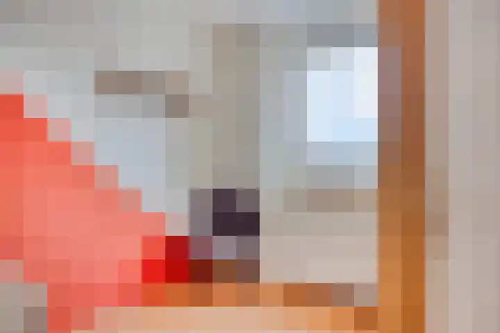 Gierelaar 124 Wouw thumbnail 18