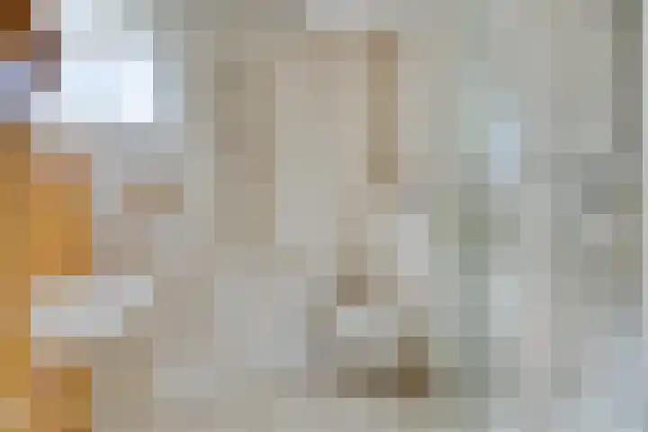 Gierelaar 124 Wouw thumbnail 20