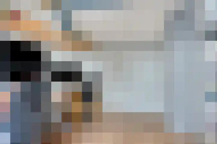 Gierelaar 124 Wouw thumbnail 24