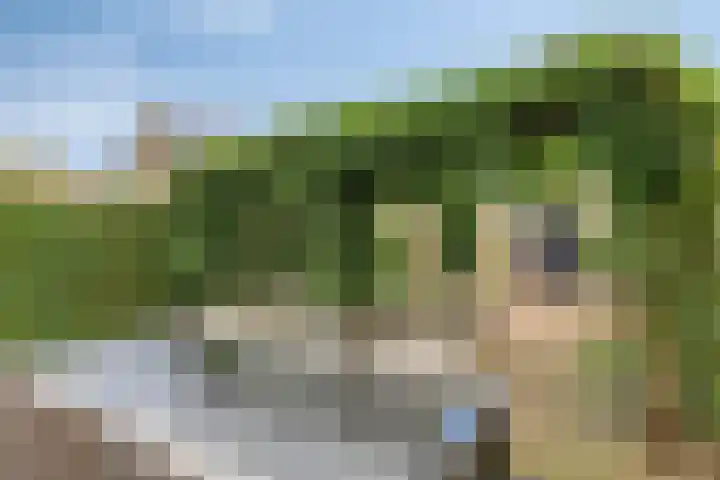 Gierelaar 124 Wouw thumbnail 25