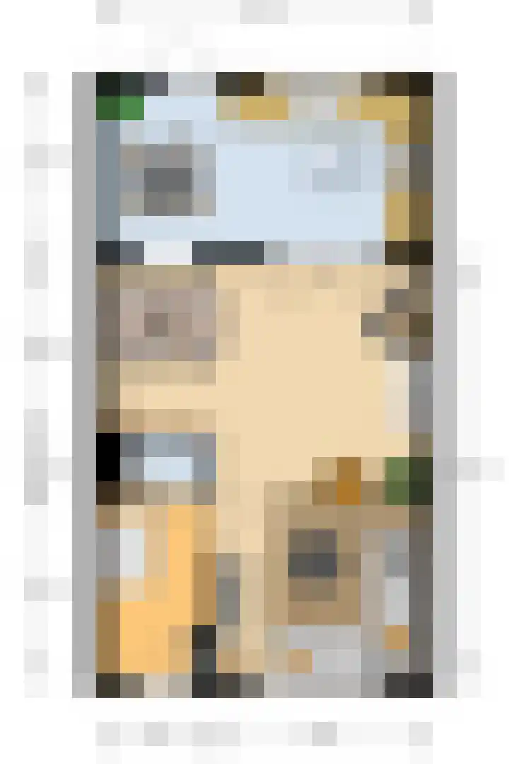 Gierelaar 124 Wouw thumbnail 31