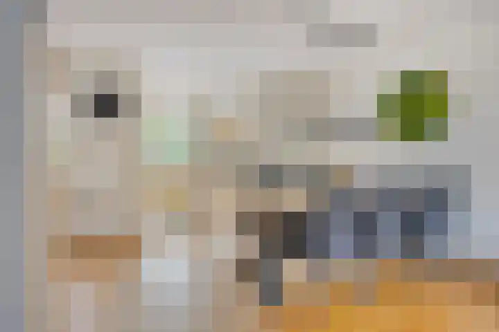 Gierelaar 124 Wouw thumbnail 4
