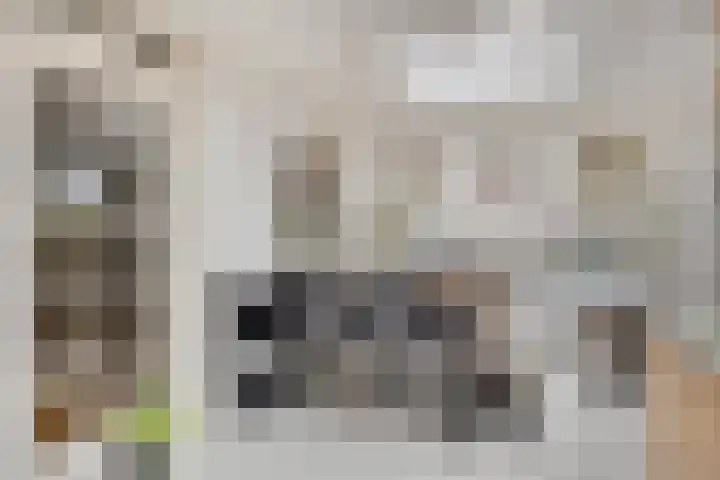 Gierelaar 124 Wouw thumbnail 9