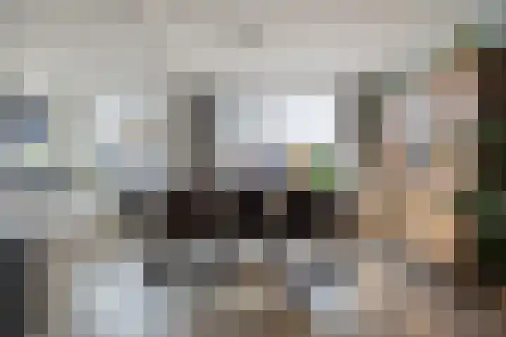 Gierelaar 36 Wouw thumbnail 10