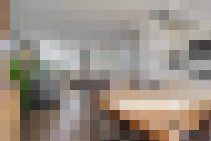 Gierelaar 36 Wouw thumbnail 12