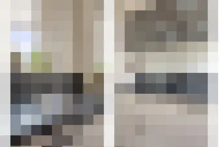 Gierelaar 36 Wouw thumbnail 13