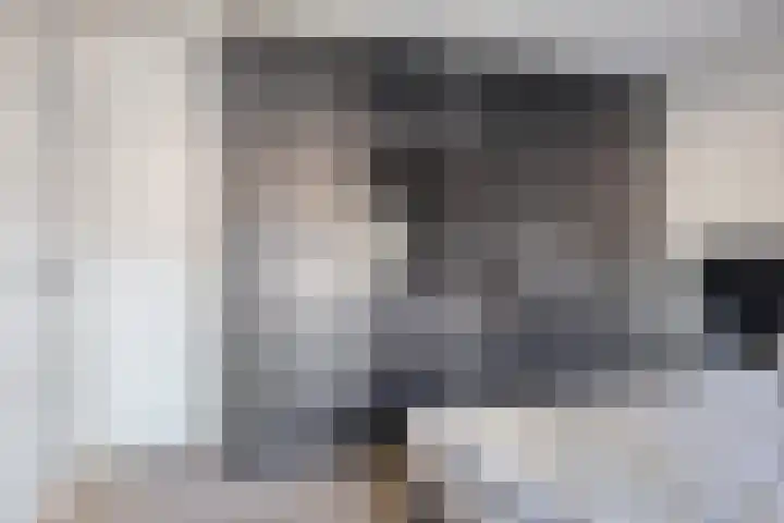 Gierelaar 36 Wouw thumbnail 17