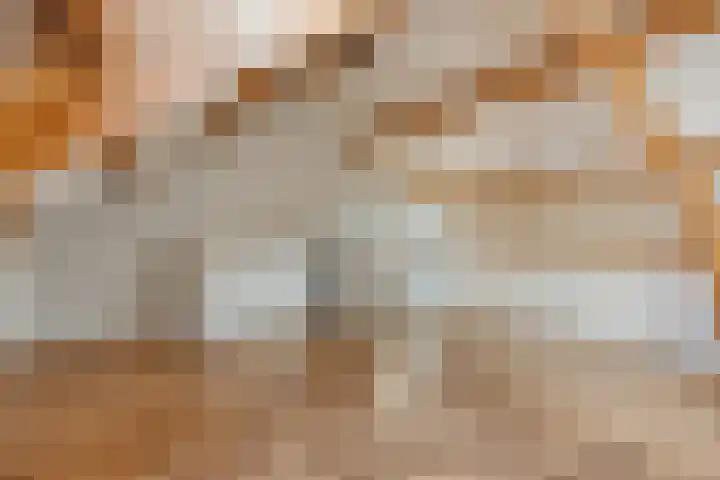 Gierelaar 36 Wouw thumbnail 24