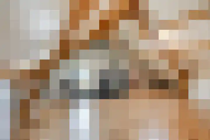 Gierelaar 36 Wouw thumbnail 25