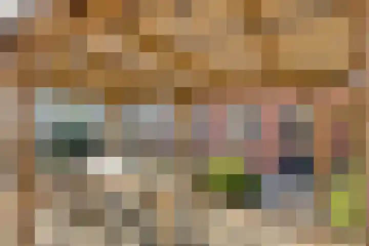 Gierelaar 36 Wouw thumbnail 27
