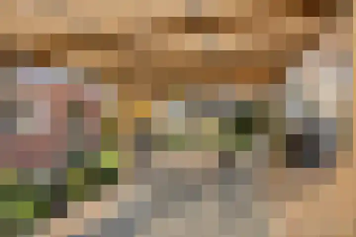 Gierelaar 36 Wouw thumbnail 28