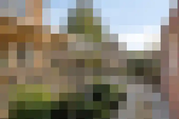 Gierelaar 36 Wouw thumbnail 29