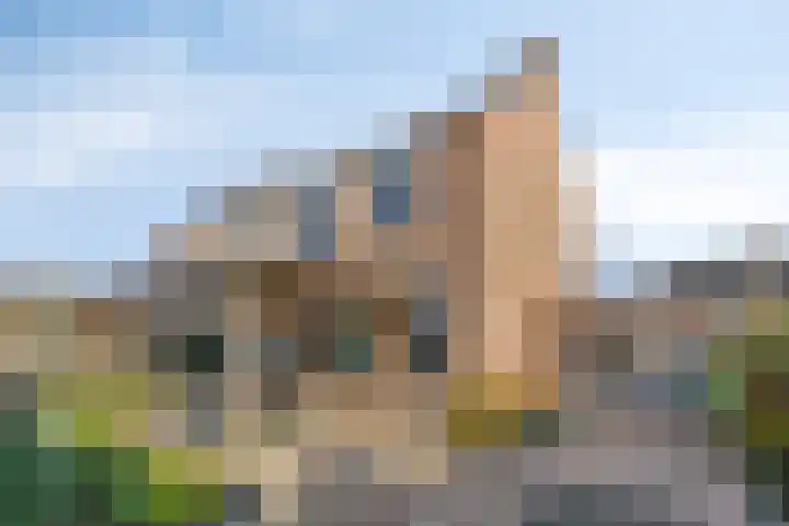 Gierelaar 36 Wouw foto 3