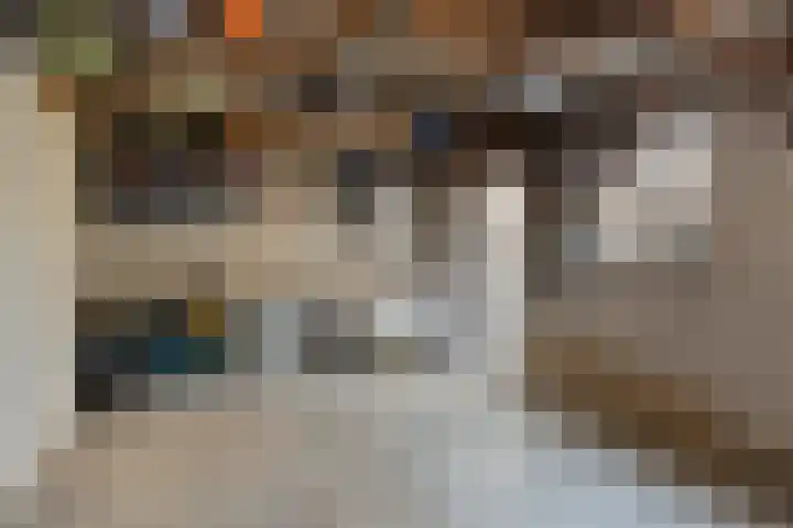 Gierelaar 36 Wouw thumbnail 30