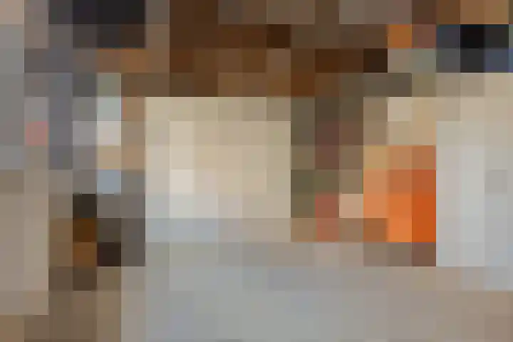 Gierelaar 36 Wouw thumbnail 31