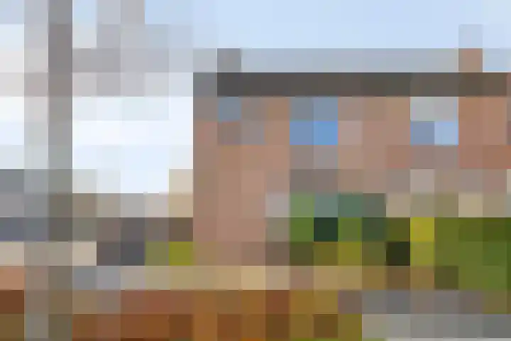 Gierelaar 36 Wouw thumbnail 32