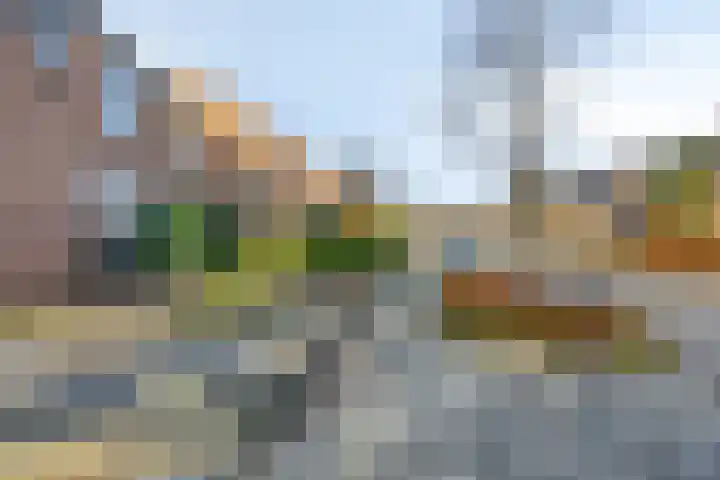 Gierelaar 36 Wouw thumbnail 33