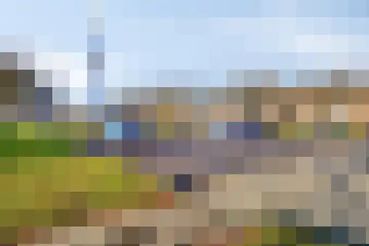 Gierelaar 36 Wouw thumbnail 34