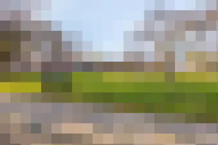 Gierelaar 36 Wouw thumbnail 35
