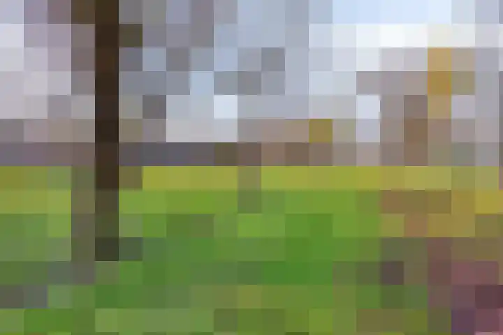 Gierelaar 36 Wouw thumbnail 36