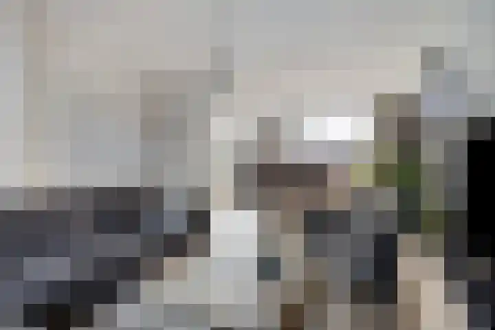 Gierelaar 36 Wouw thumbnail 4
