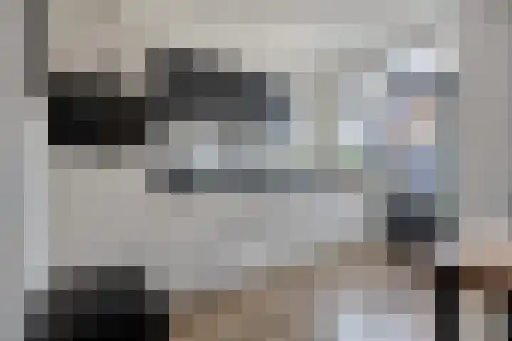 Gierelaar 36 Wouw thumbnail 5