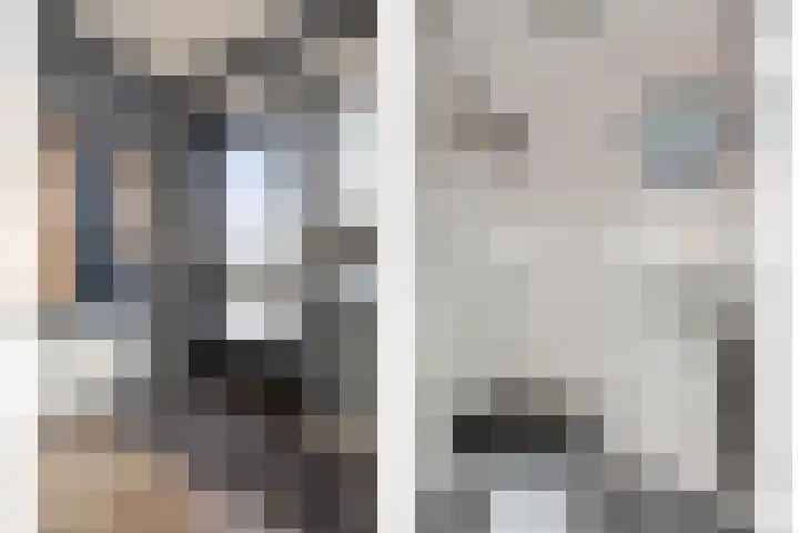 Gierelaar 36 Wouw thumbnail 6