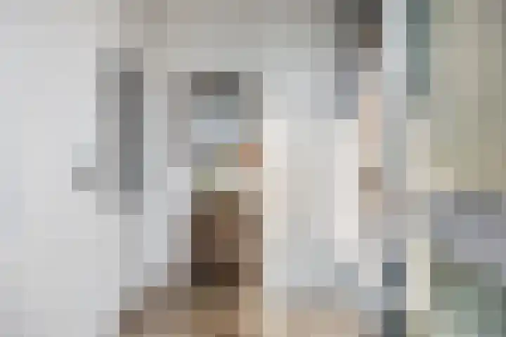 Gierelaar 36 Wouw thumbnail 7