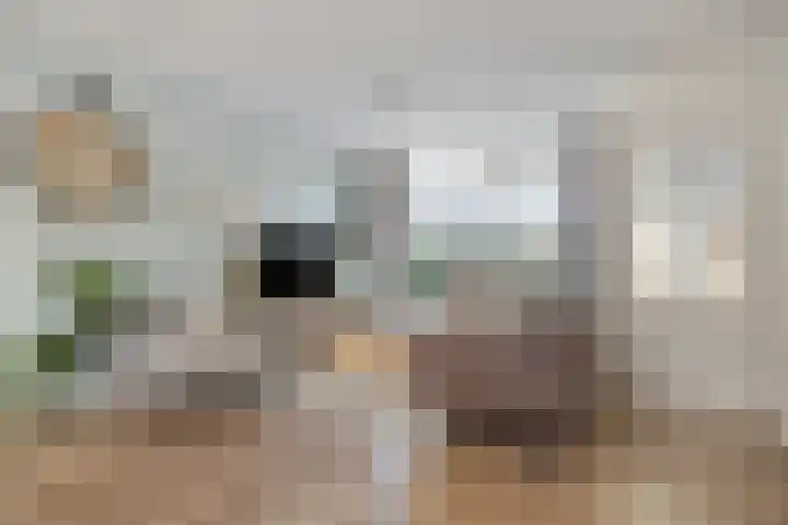 Gierelaar 36 Wouw thumbnail 9
