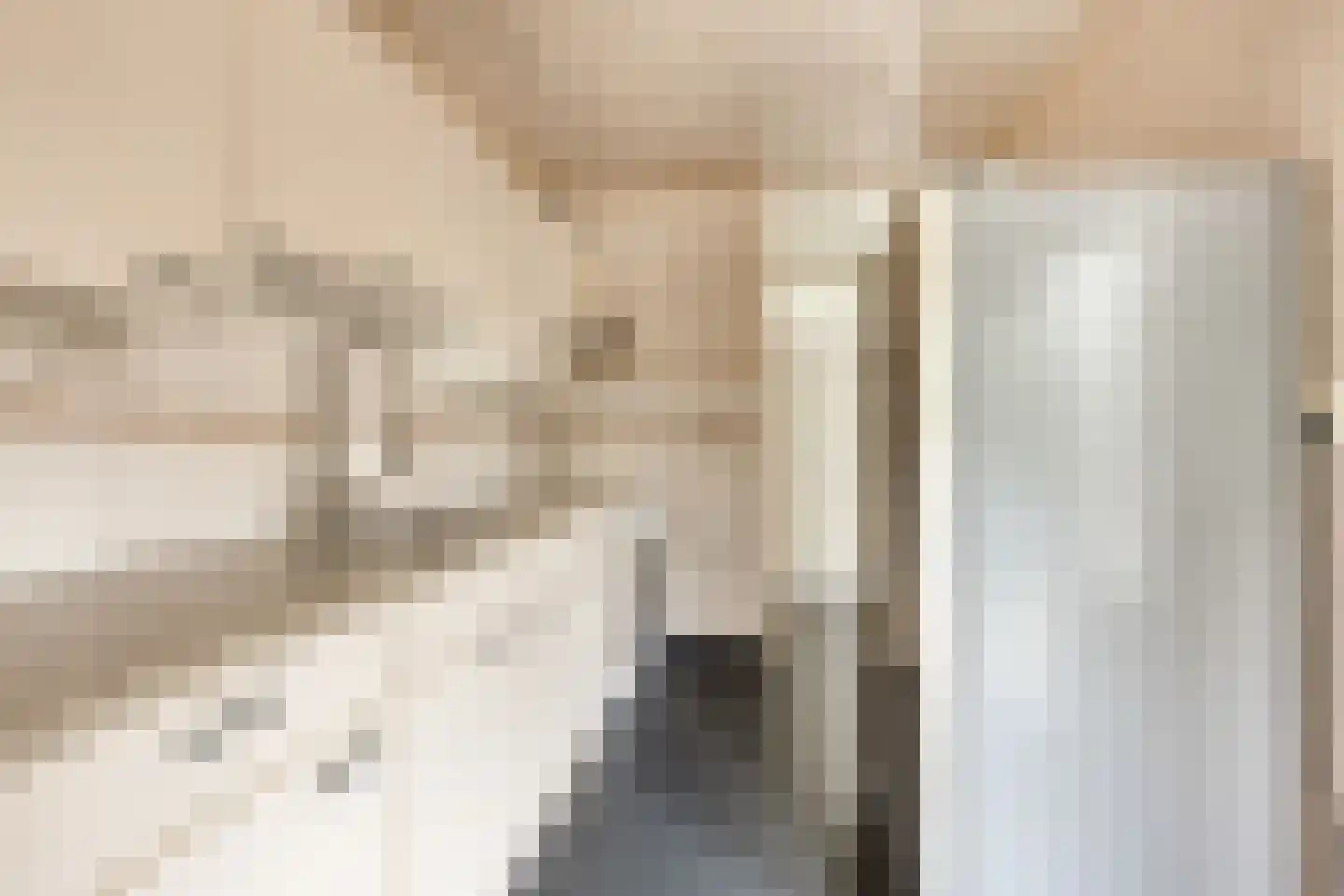 Gierelaar 59 Wouw thumbnail 11