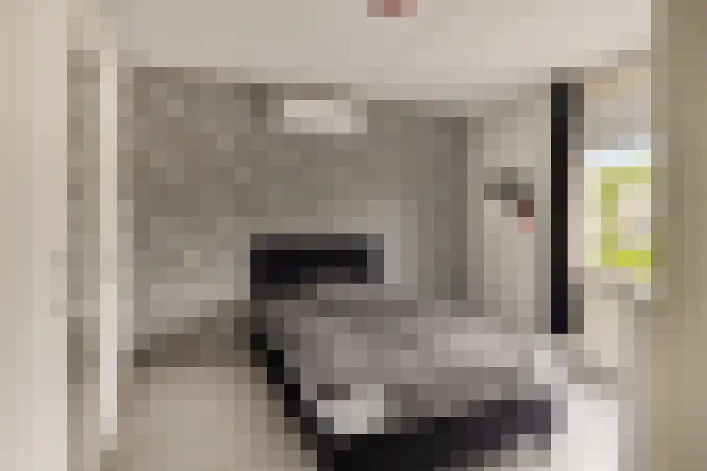 Gierelaar 59 Wouw thumbnail 14